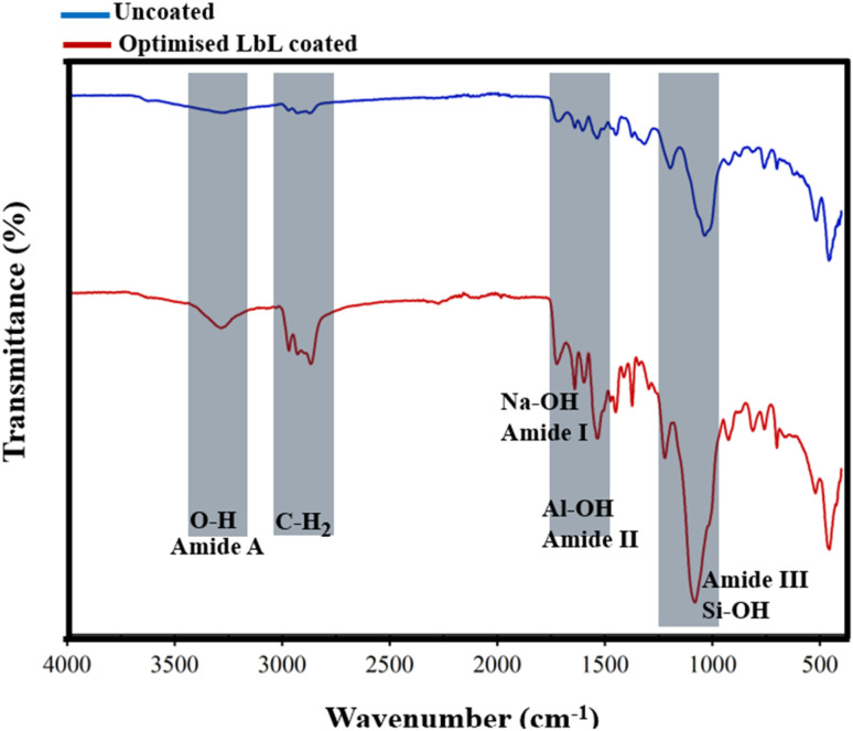 Fig. 12