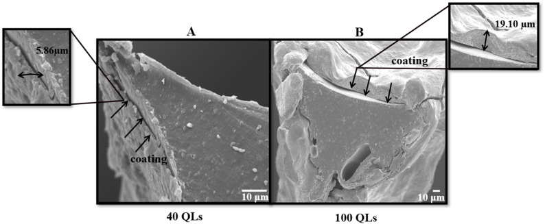 Fig. 5