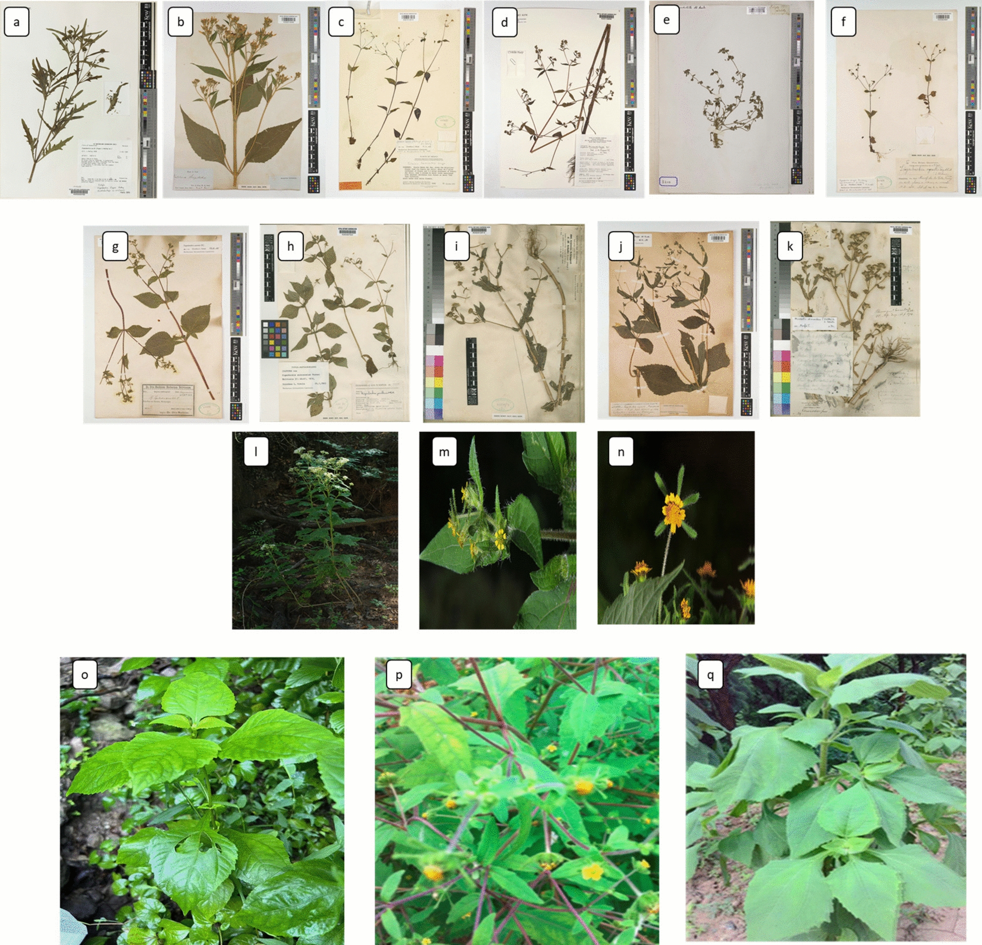 Figure 10