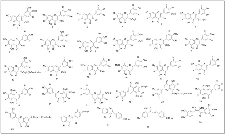 Figure 12