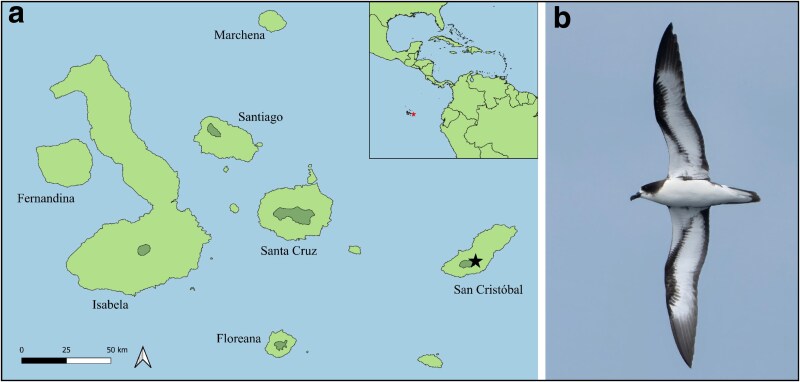 Fig. 1