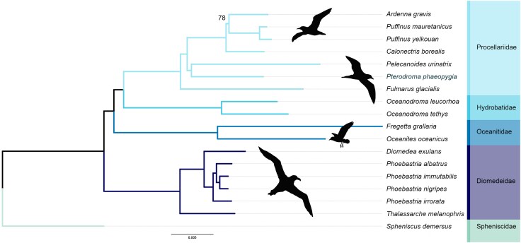 Fig. 4