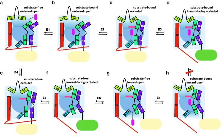 Fig. 2