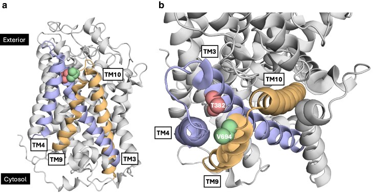 Fig. 3
