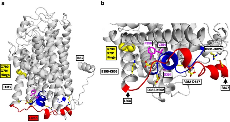 Fig. 4