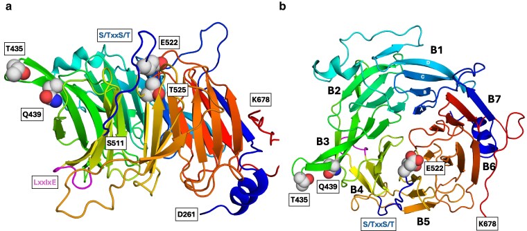 Fig. 5