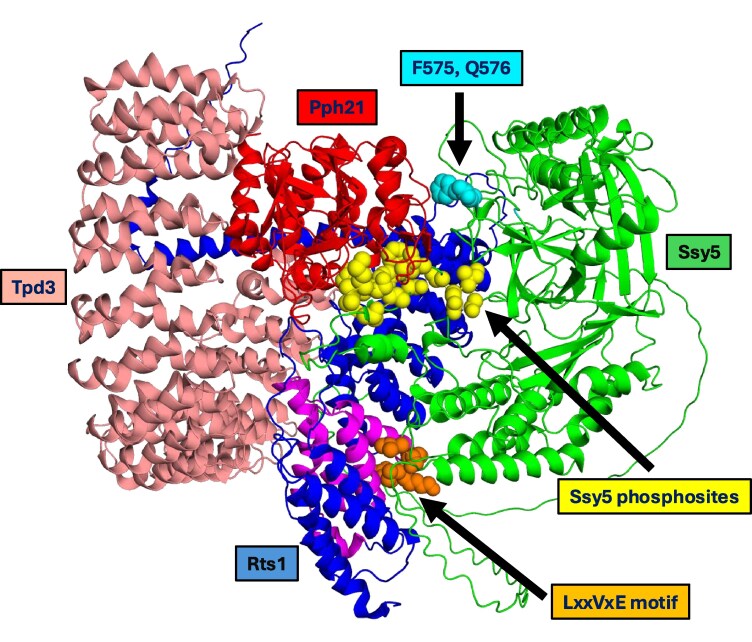 Fig. 6