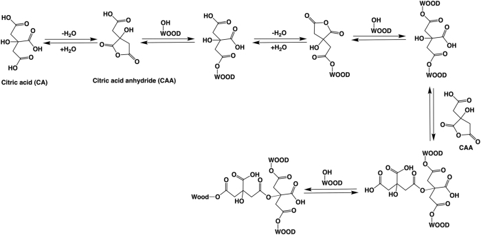 Figure 7
