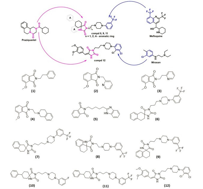 Fig 1