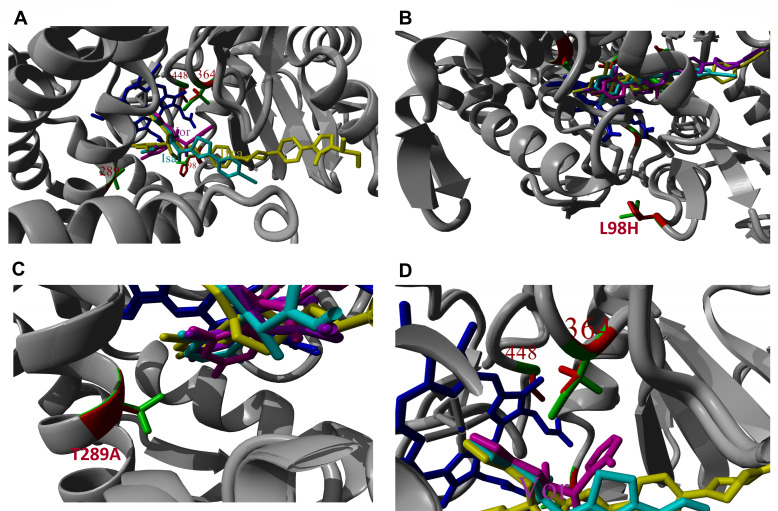 Fig 3