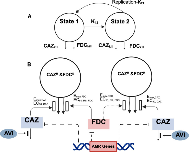 Fig 2