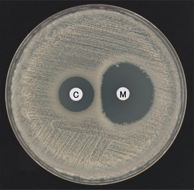 Fig 5