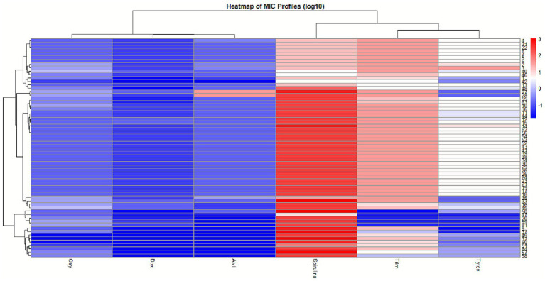 Figure 5