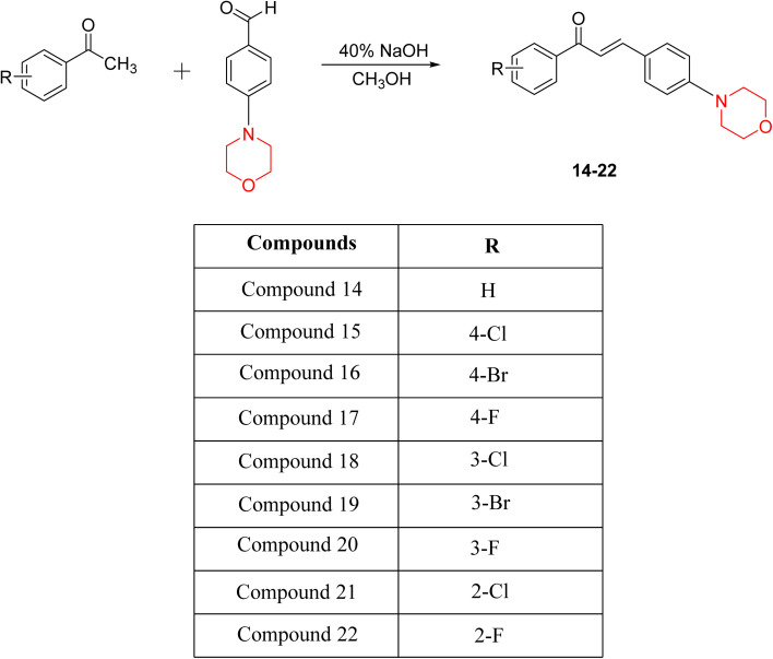Scheme 5