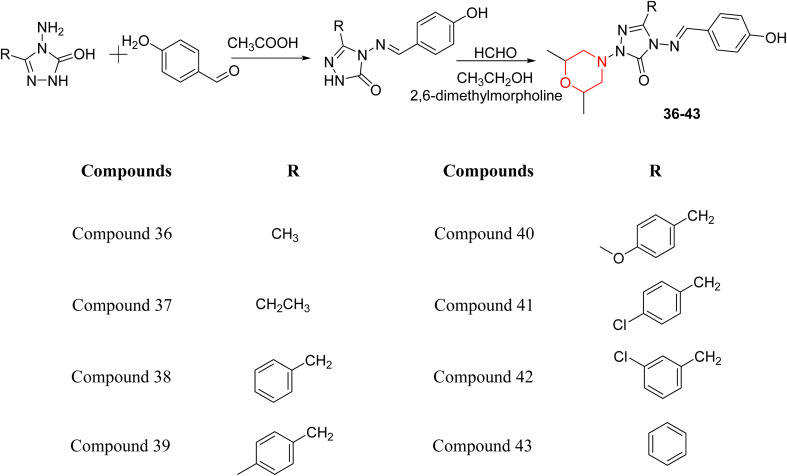 Scheme 7