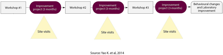 Fig 1