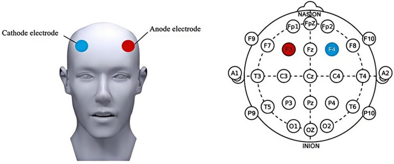Fig 3