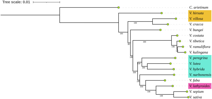 Fig 7