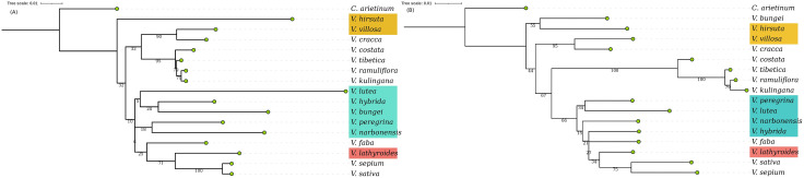 Fig 8