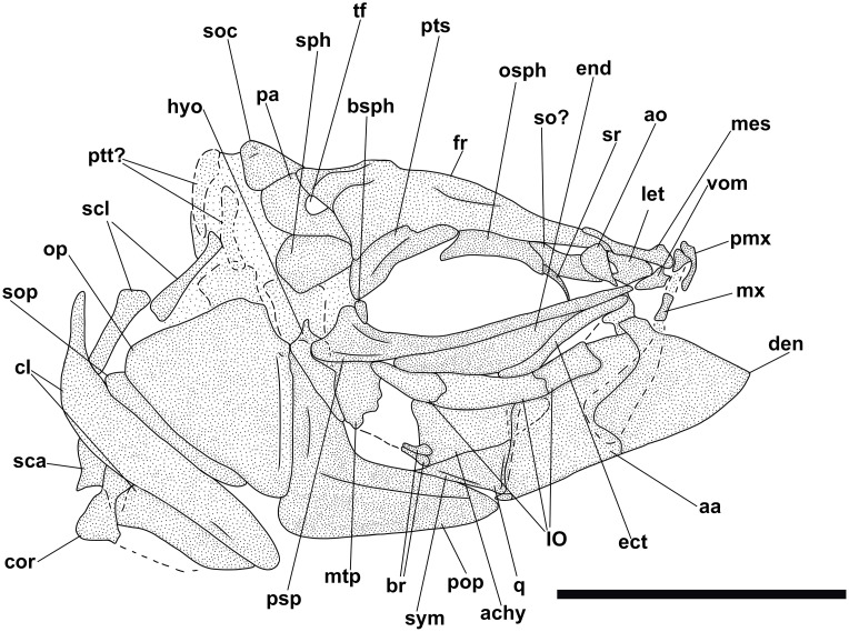 Fig 5