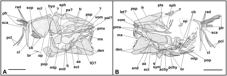 Fig 8