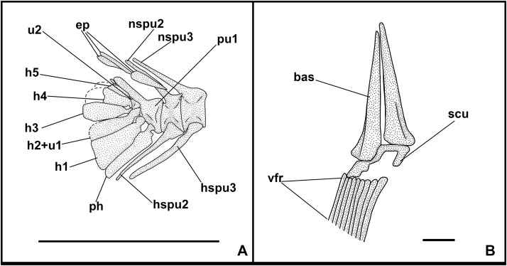Fig 9