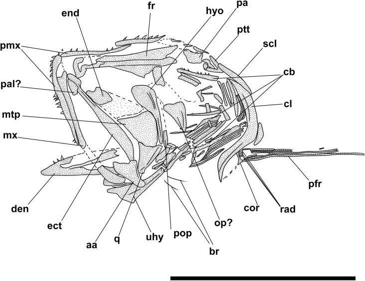Fig 11