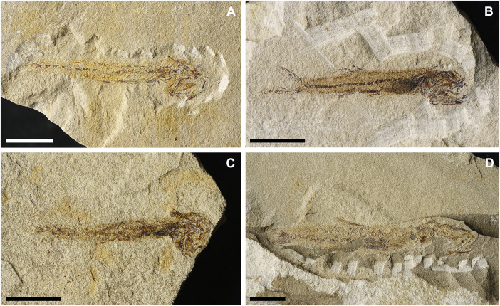 Fig 14