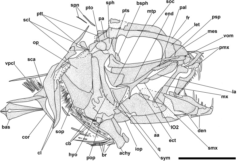 Fig 21
