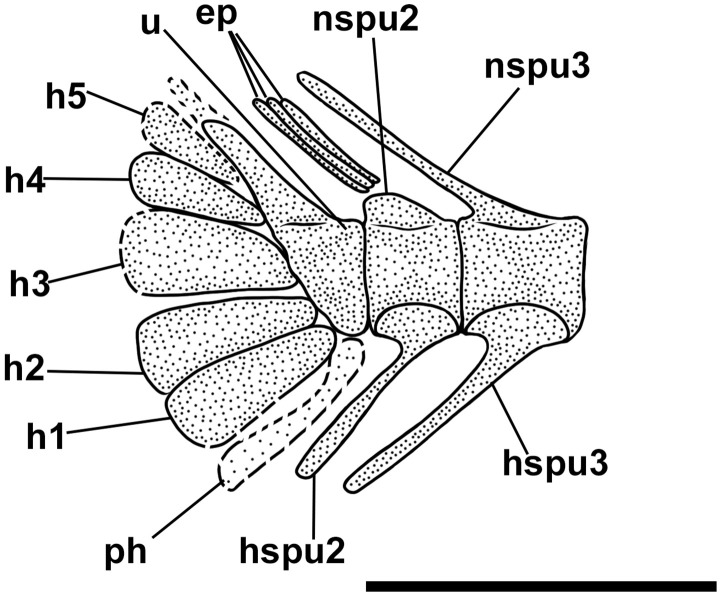 Fig 22