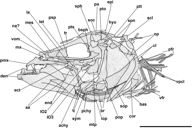 Fig 25