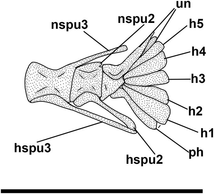 Fig 26