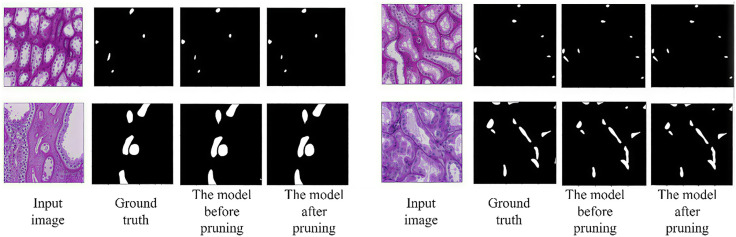 Fig 13
