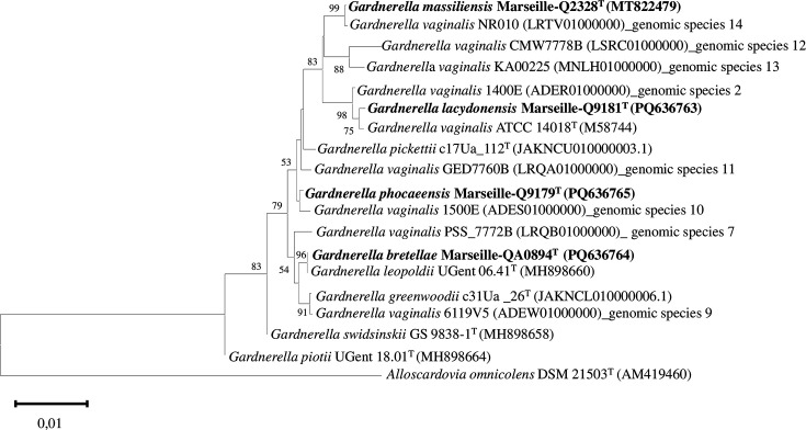 Fig. 3