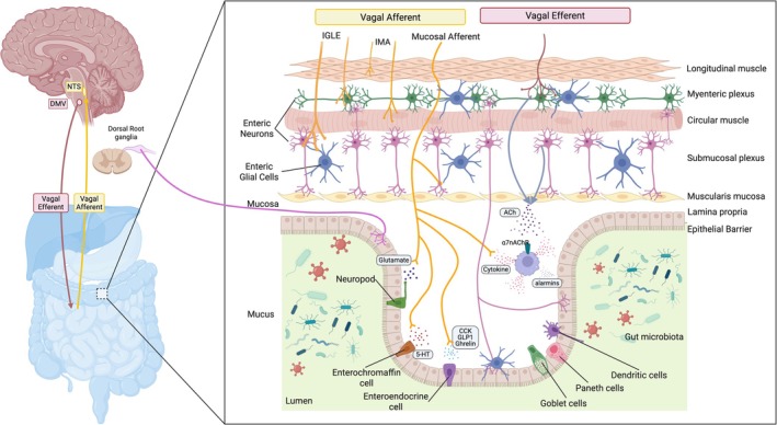 FIGURE 6
