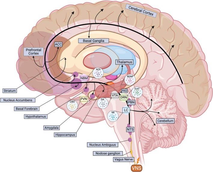FIGURE 3