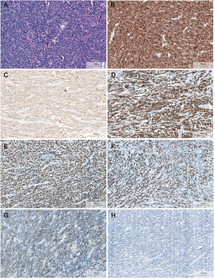 Figure 4