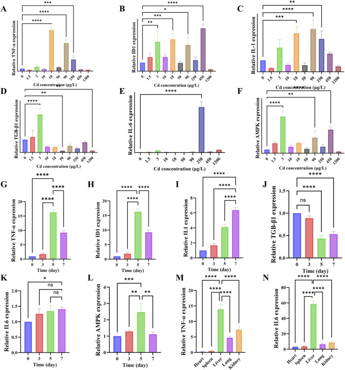 FIGURE 4