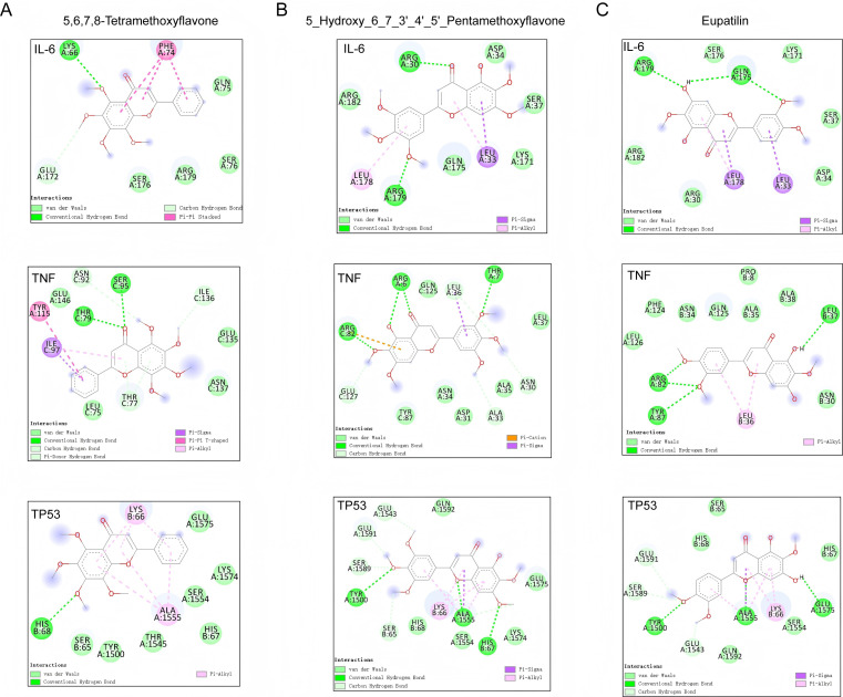 Figure 12