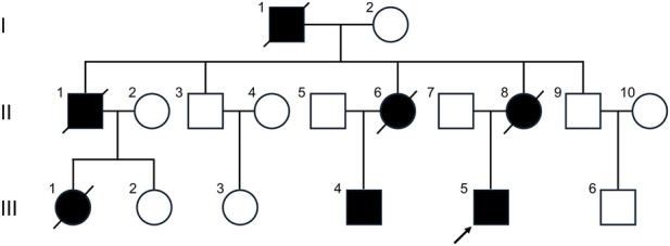 FIGURE 1