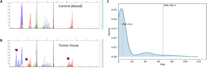 Figure 3