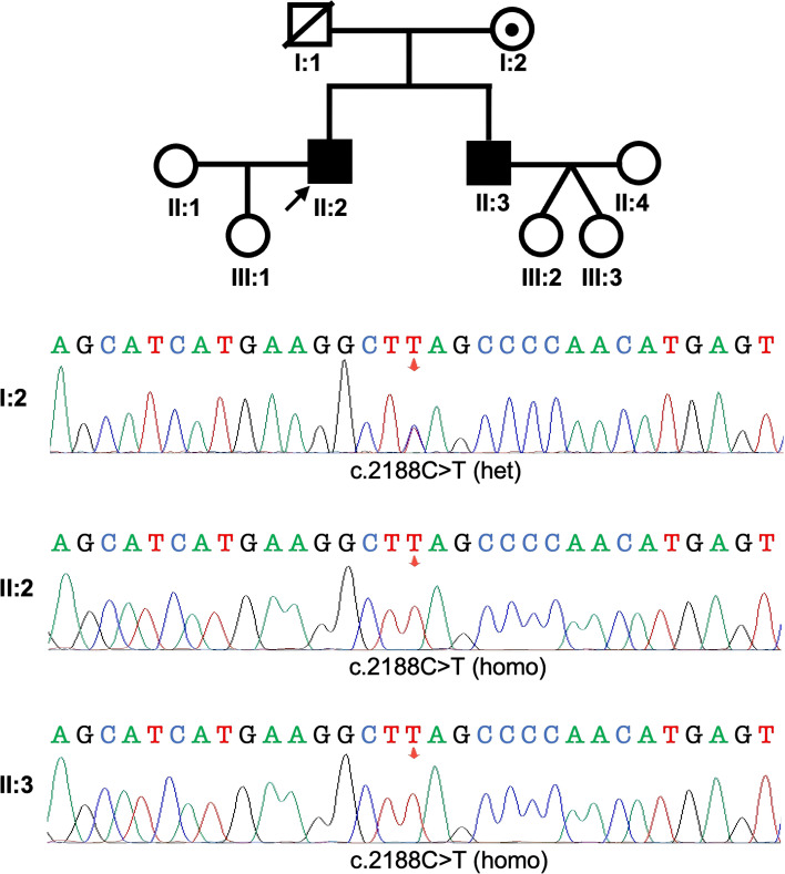 Figure 2