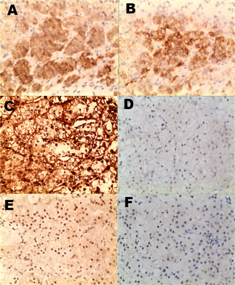 Figure 4