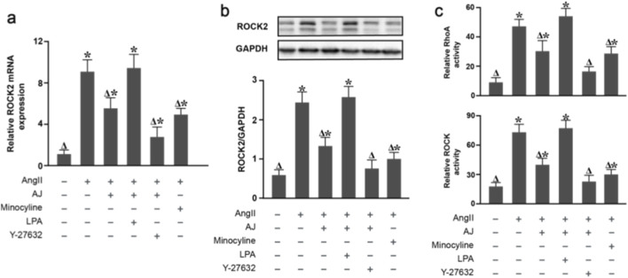 FIGURE 11