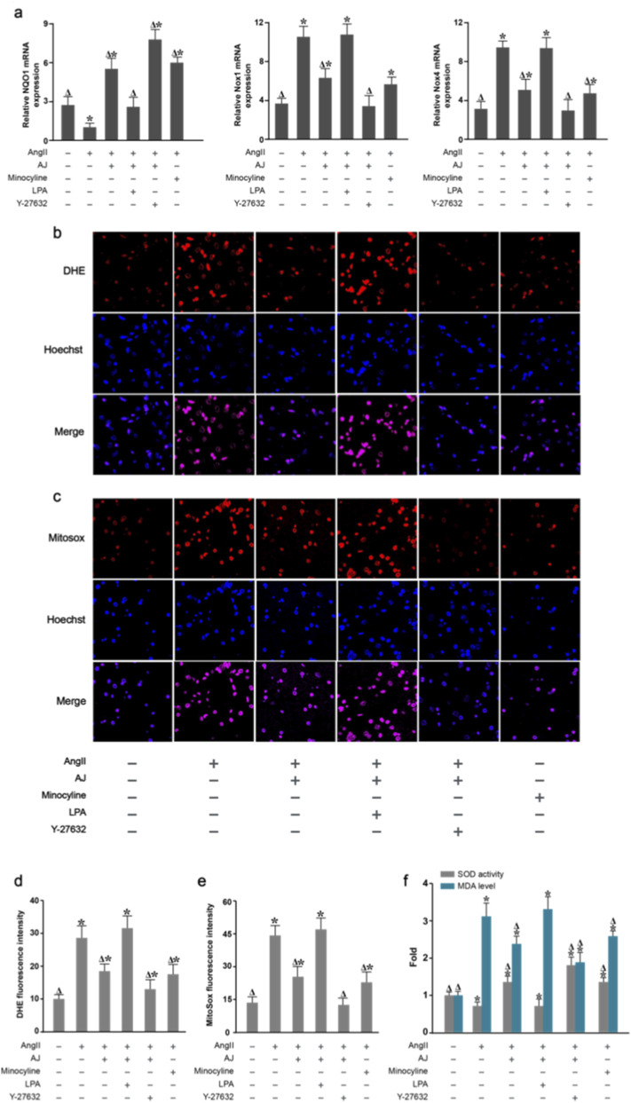 FIGURE 12