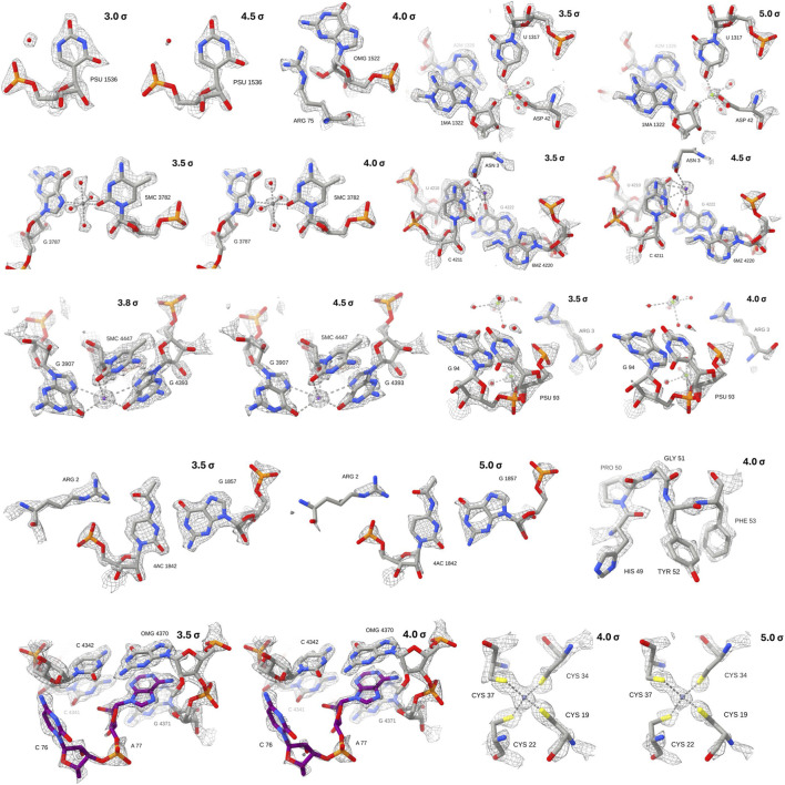 FIGURE 7