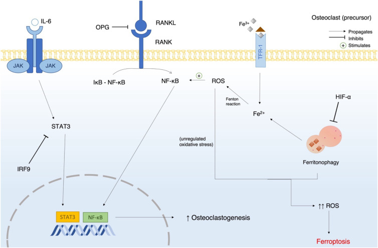 Figure 4