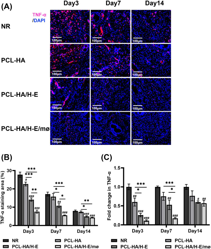 Figure 5