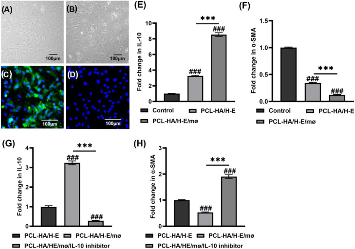 Figure 6