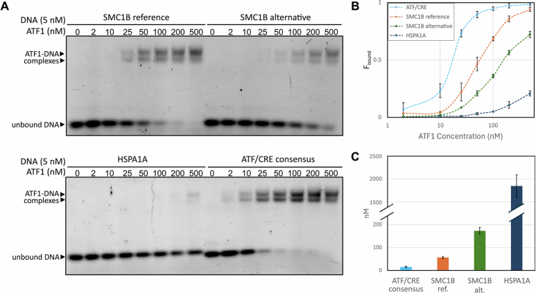 Figure 14